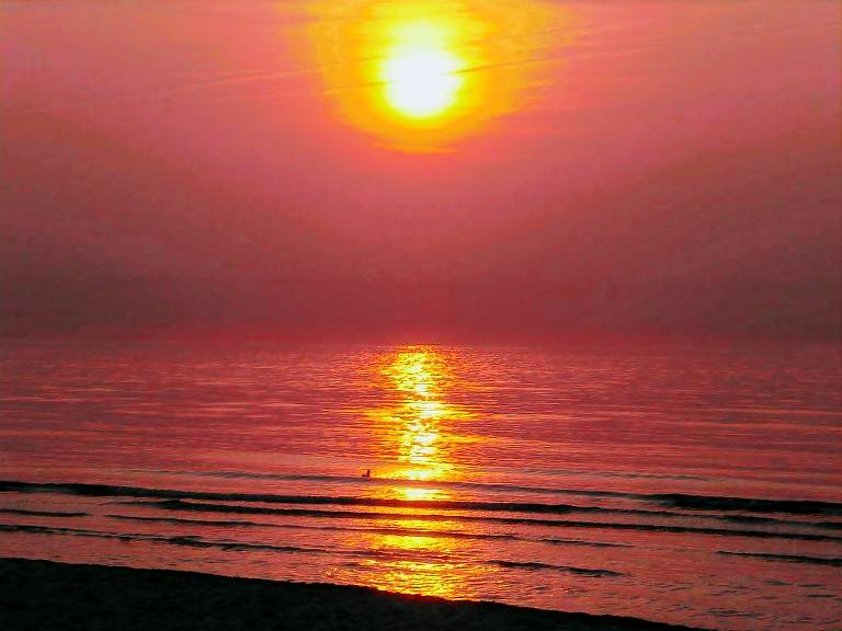 foto4