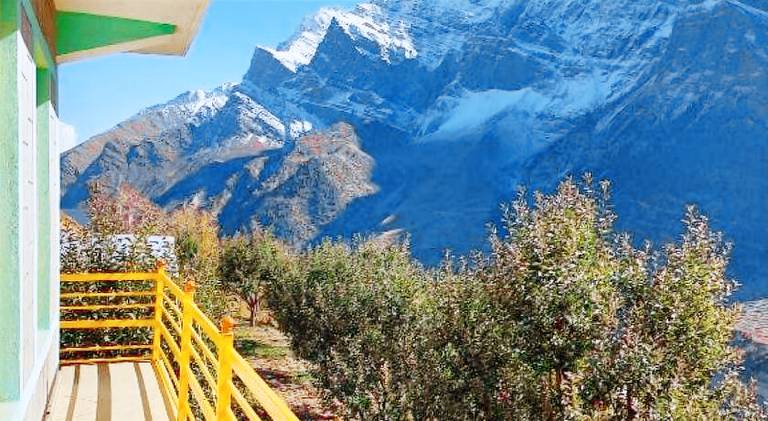 Valley View Homestay Lahaul — photo 5