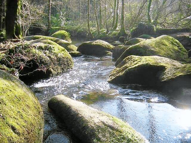 Cottage  Les Forges
