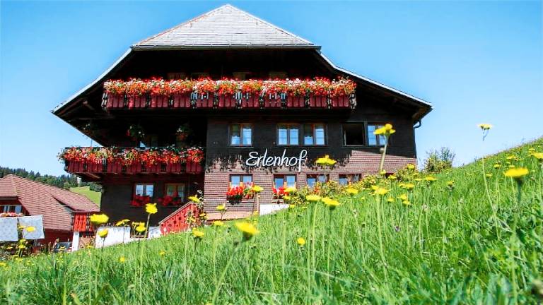 Ferienwohnung Todtnauberg