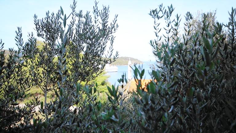 Apartma Vis