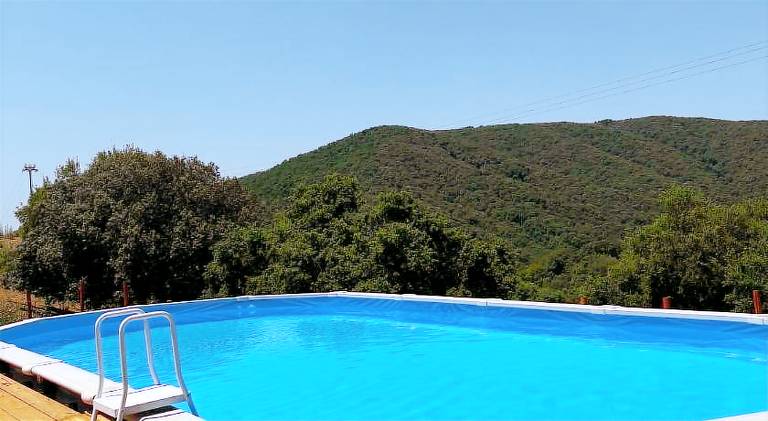 Farm with pool, patio & yard — photo 5