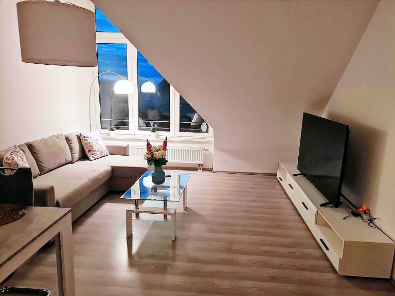 Fully equipped apartment with terrace | Pets allowed in Magdeburg