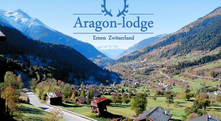 Apartment with 2 rooms for 4 persons in Fiesch