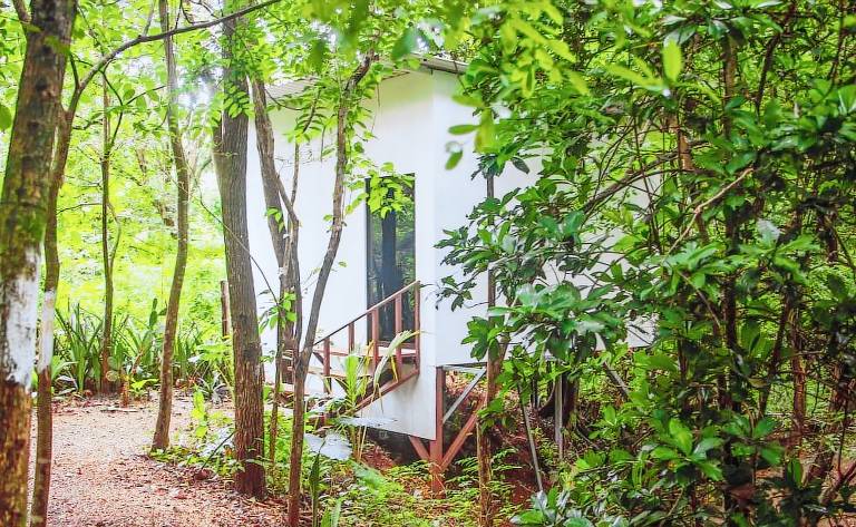 Albergue Tamarindo
