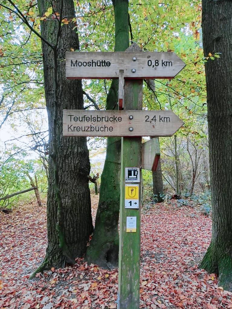 foto4