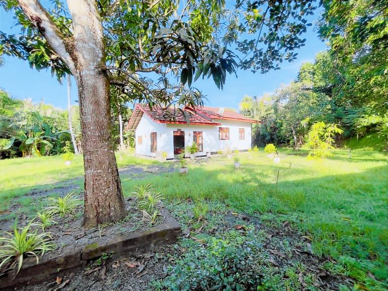 Villa with garden & terrace | Perfect for remote work — photo 4