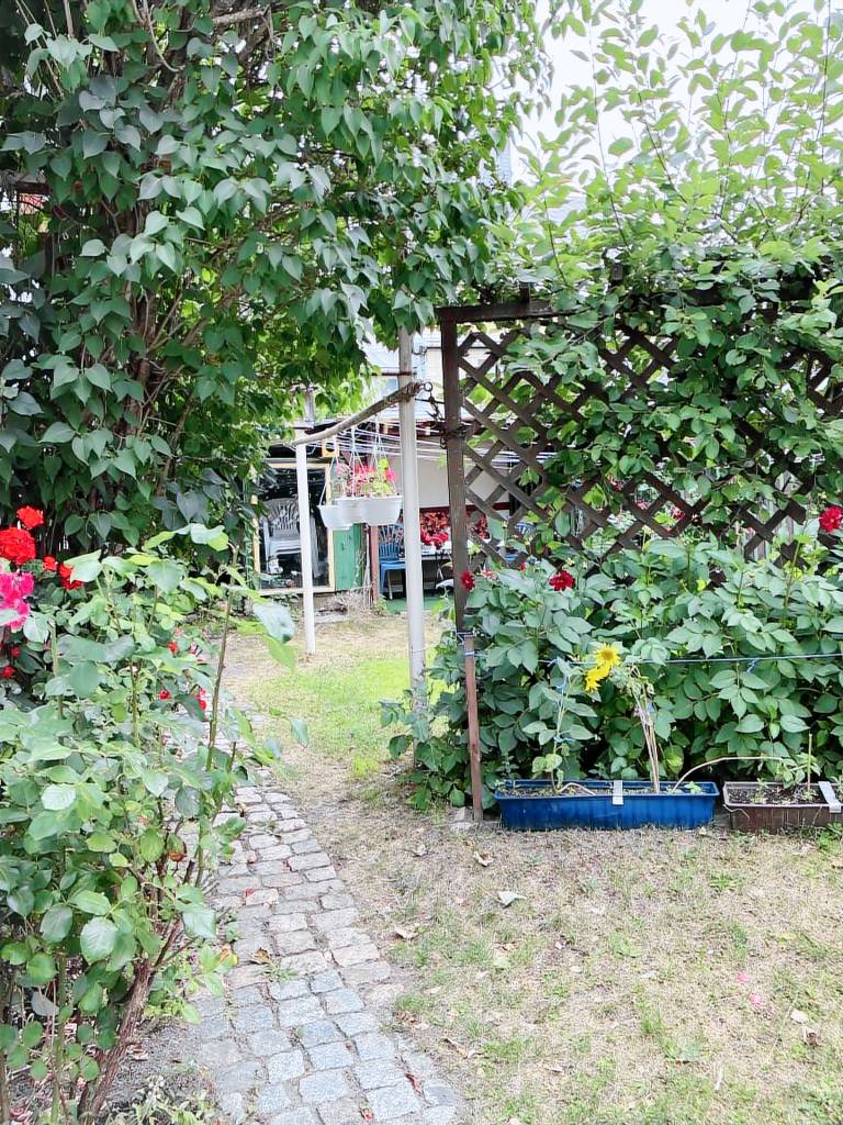 foto4