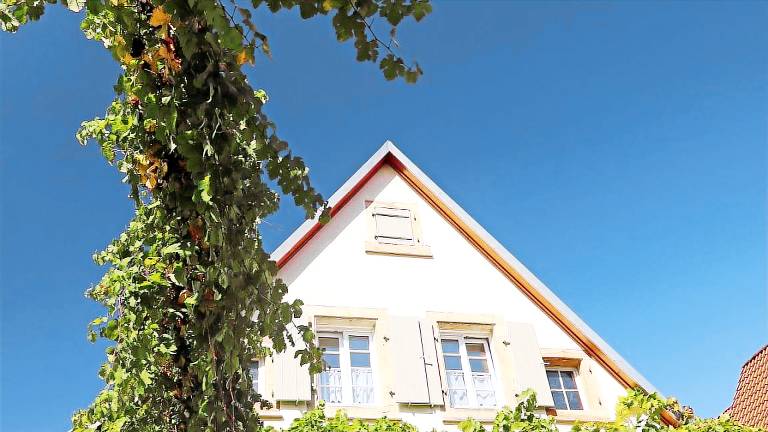 Ferienwohnung  Rhodt unter Rietburg