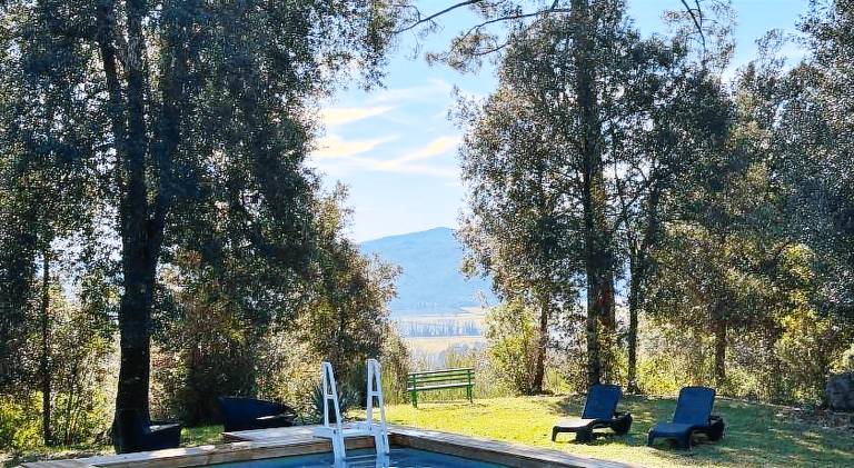 House with pool in Murlo
