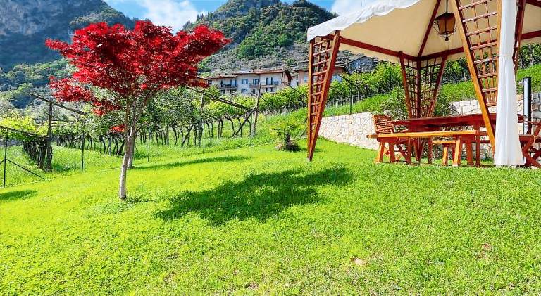 Vacation home with 2 rooms for 5 persons — photo 4