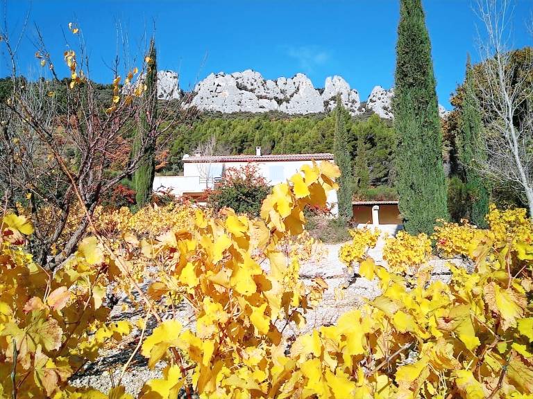 Maison de vacances Suzette