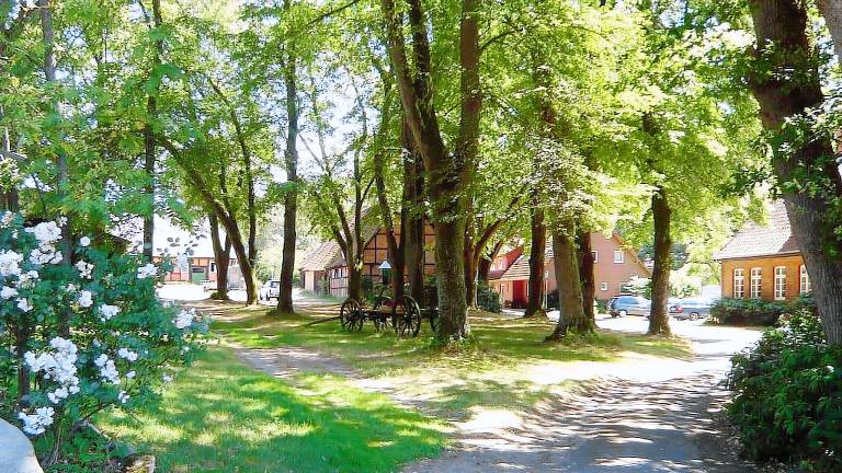 Ferienwohnung Amelinghausen