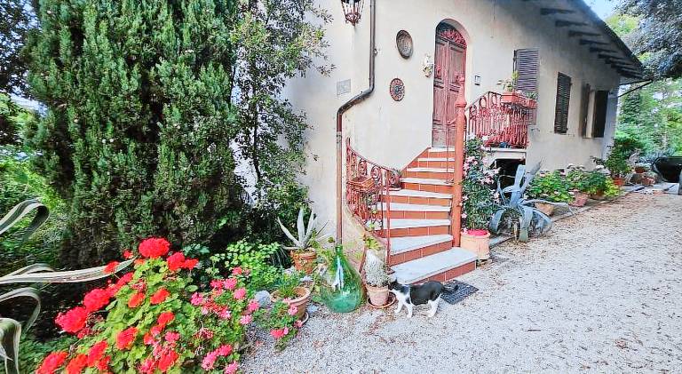 Apartment | Dogs allowed in Camerano