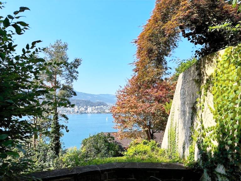 House Lucerne