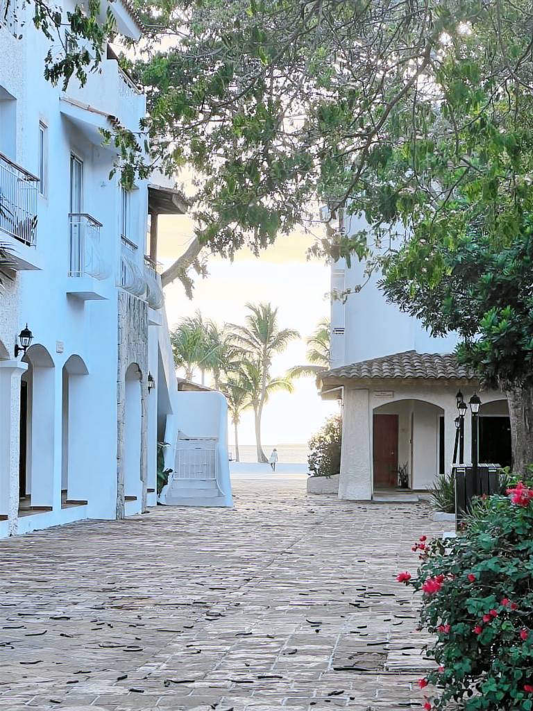 Apartamento Dominicus
