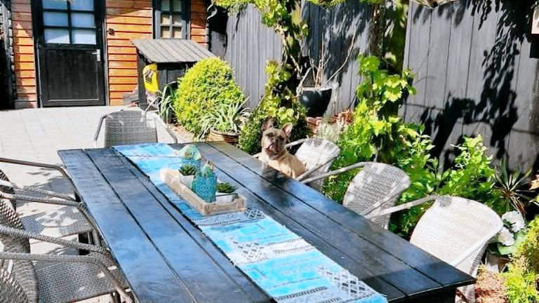 60 m² Ferienhaus