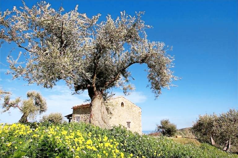 Bauernhof in Collesano f&uuml;r max. 5 Personen, 