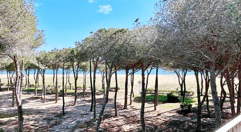 Lovely holiday apartment | Next to the beach | Pets are welcome — photo 3
