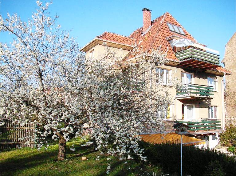 Ferienwohnung  Arnstadt