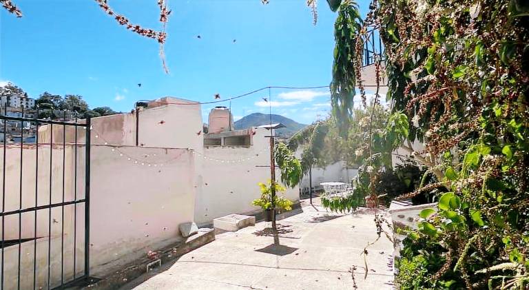 Casa Angelitos — photo 4