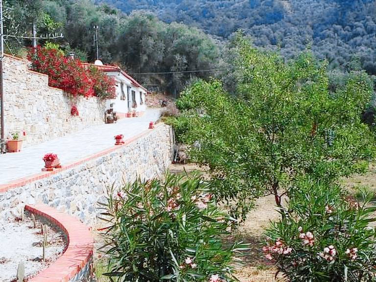 Beautiful house with BBQ, patio & yard | Mountain view | Pet-friendly — photo 3