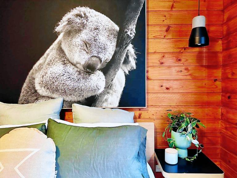 Cabin Kangaroo Valley