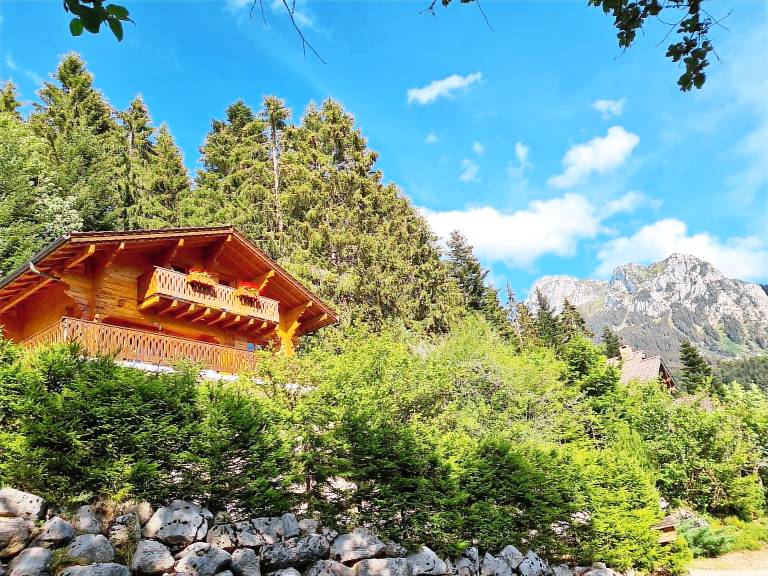 Chalet Chevenoz