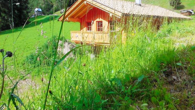 Ferienwohnung  Döllach