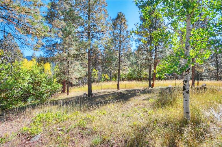 Family-oriented cabin with fast internet & garden | Mountain view | Dogs allowed — photo 4