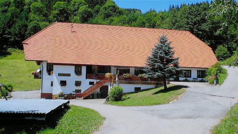 Ferienwohnung Hausach