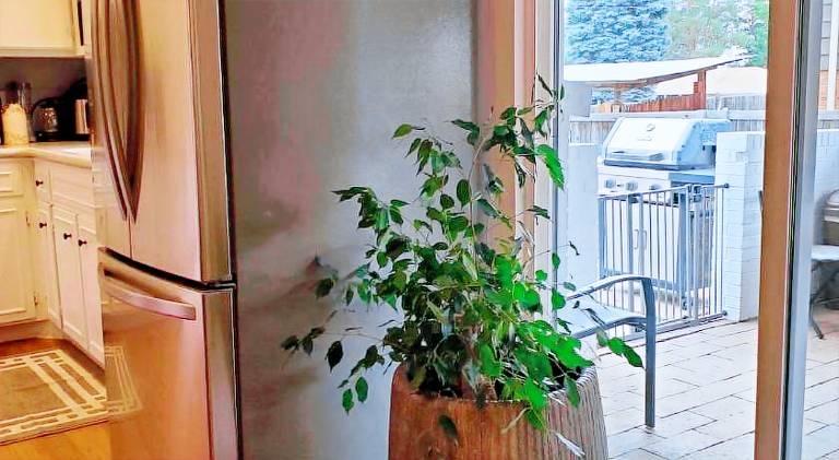 Fully equipped villa with barbeque & yard | Perfect for remote work | Pets are welcome — photo 5