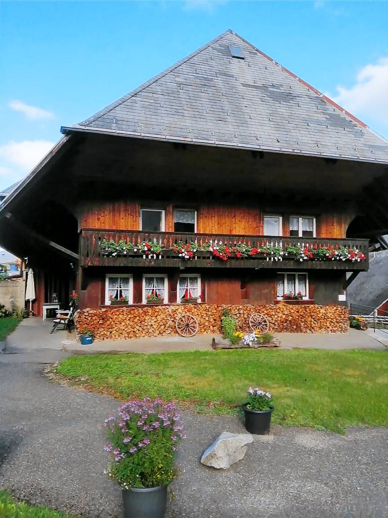 Apartment 'Schwarzwaldferienwohnung Oberle' with Mountain View, Balcony and Wi-Fi — photo 2