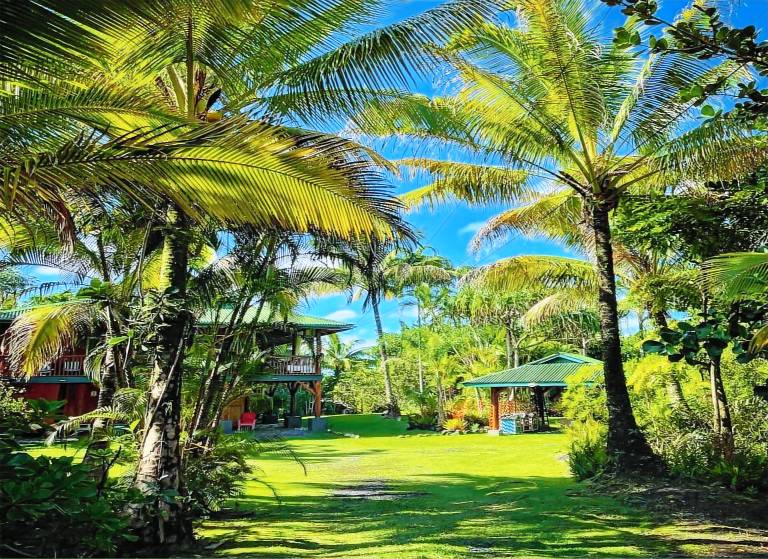 Cabin Hawaiian Paradise Park