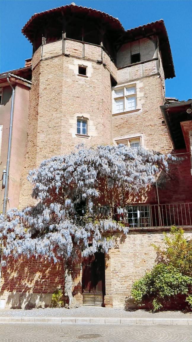 Maison de vacances Gaillac