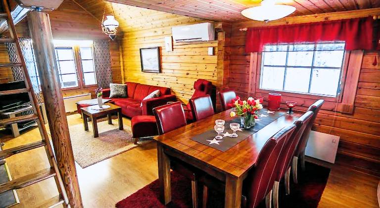 Nice chalet with garden, sauna & barbeque | Dogs allowed — photo 4