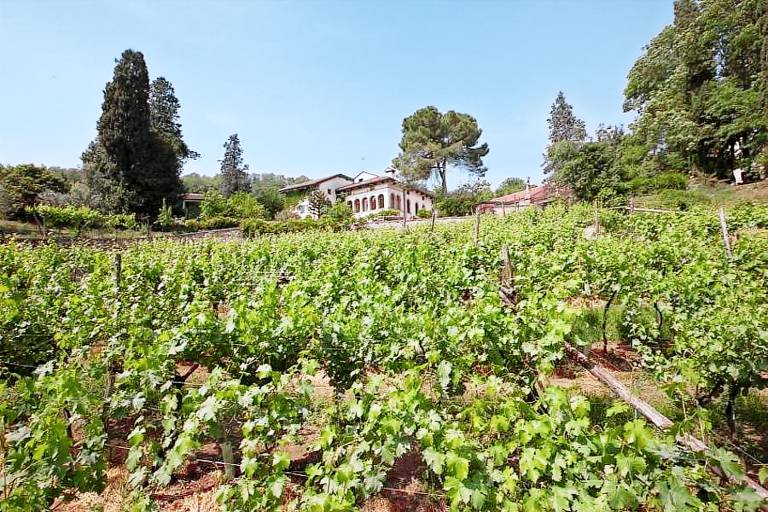 Fattoria le Vegre: Camera Tai Rosso — photo 2