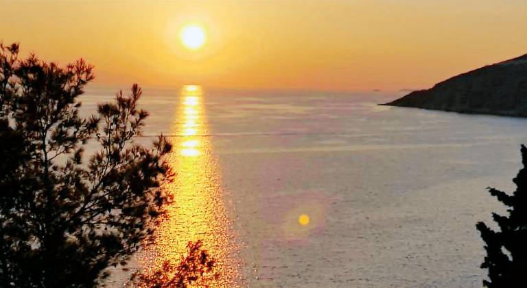 Pleasant rental apartment with patio, garden & private pool | Dogs allowed in Hvar