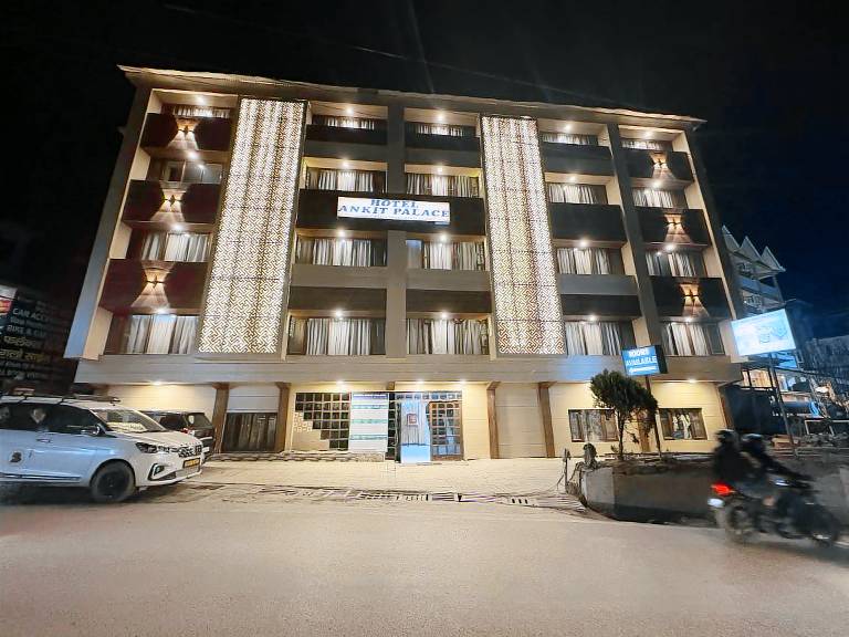 Hotel Ankit Palace in Manali