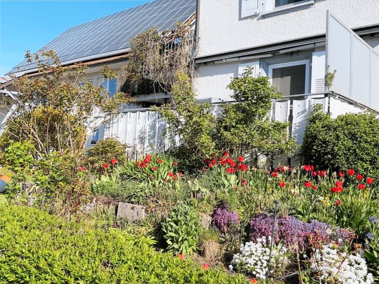 Apartment Sieglinde with Private Terrace in Bad Dürrheim Öfingen — photo 3