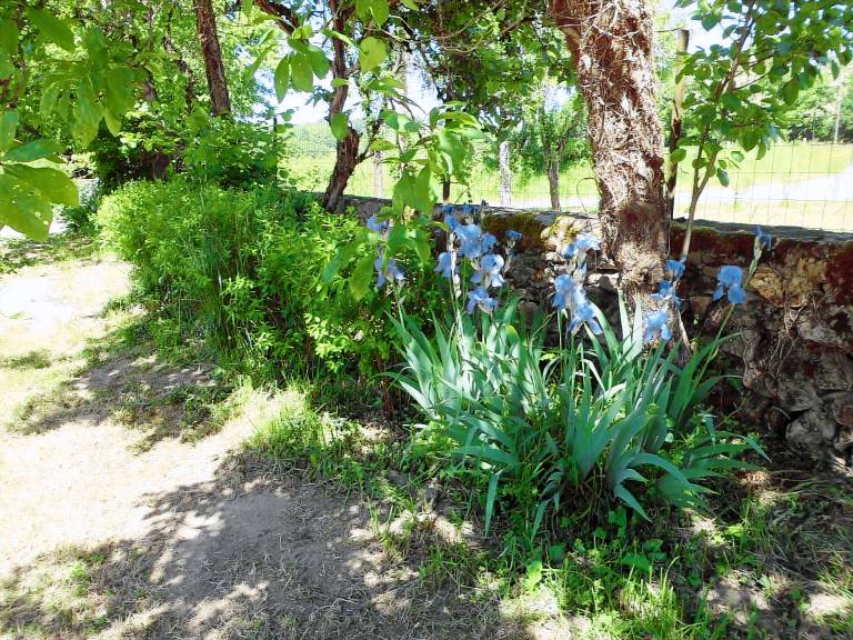 Fully equipped house with yard, private pool & barbeque | Nature view | Pets are welcome — photo 5