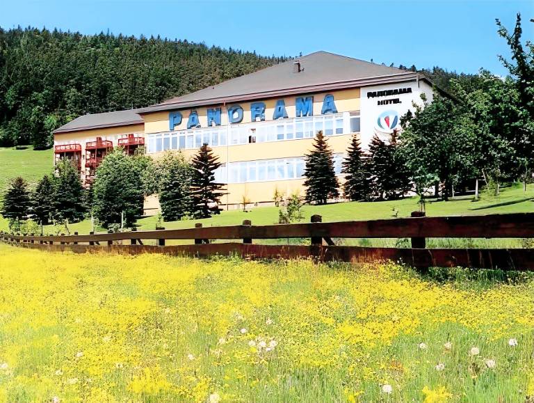 Panorama Hotel Oberwiesenthal im Erzgebirge in Oberwiesenthal