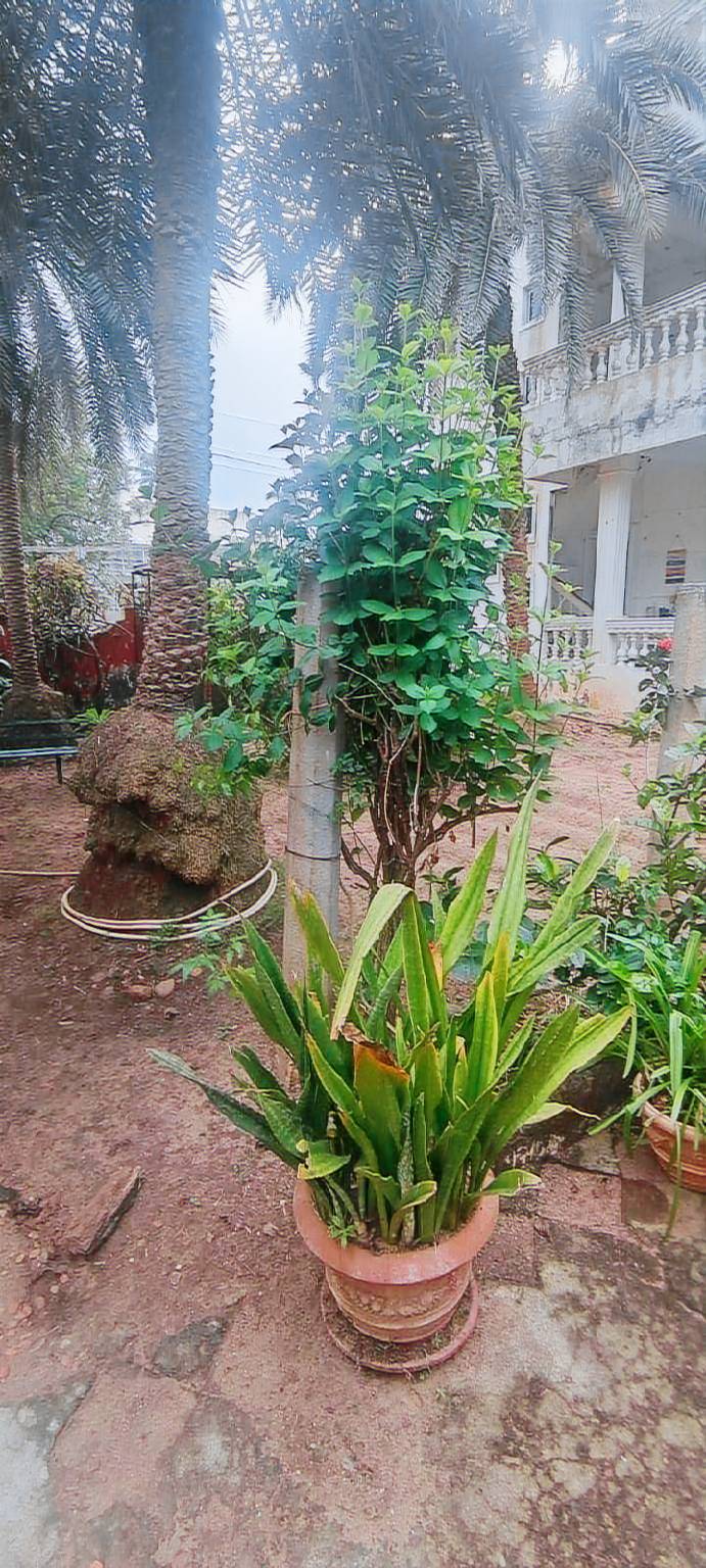foto8