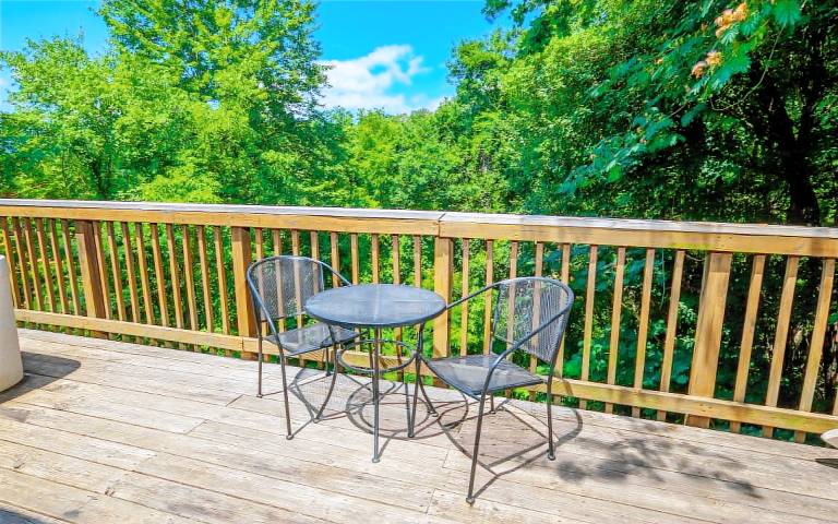 TN Bear Den - Cozy vibes and a hot tub! — photo 4