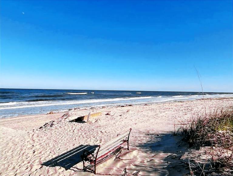 House Palm Coast