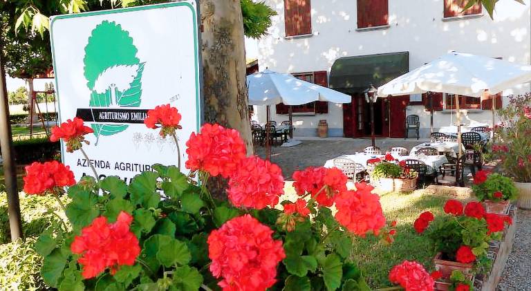 Wonderful house with yard | Good for workation | Pets are welcome in Valsamoggia