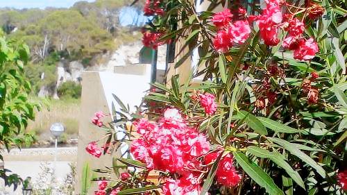 Apartamento  Cala Galdana