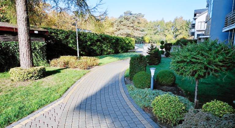 Beautiful rental apartment with yard | Dogs allowed — photo 4