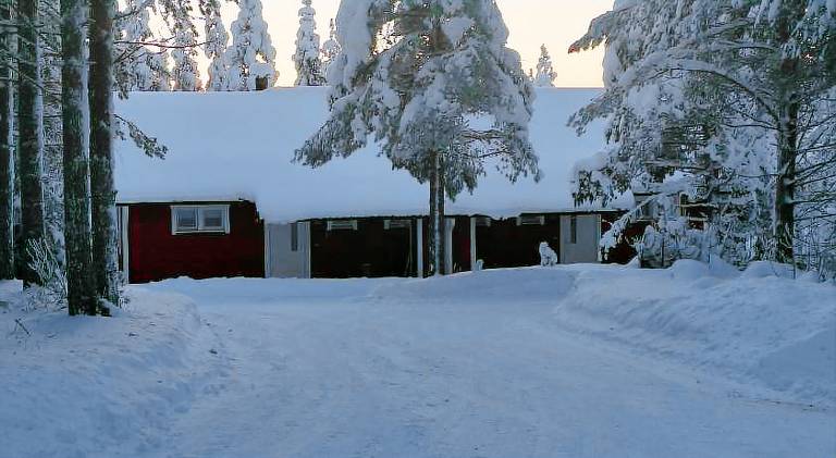 Holiday apartment | Pets are welcome in Kuusamo