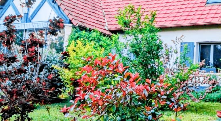 foto2